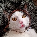 periwinkle-picots avatar