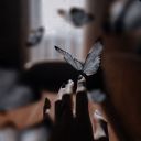 permanentlysalty avatar