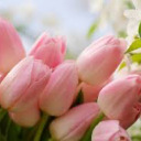 petalsandpages avatar