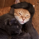 petemcvries23 avatar