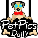 petpicsdaily-blog avatar