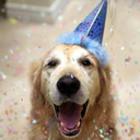 petsatbirthdays avatar