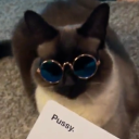 pettycrustacean avatar