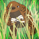 peztheanxiouspansexualpangolin avatar