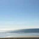 phantompowerhc avatar