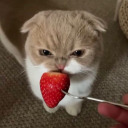 philosopher2016 avatar