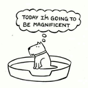 philosophical-sailer avatar