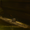 philosophicalsloven avatar