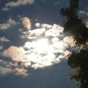 phoenix-and-dragon avatar