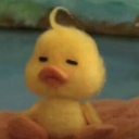 picklehatingdyke avatar