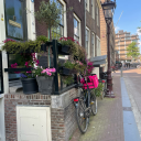 piece-of-peacee avatar