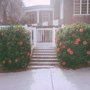 piecesofmypeaceofmind avatar