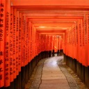 piercethedream avatar