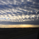 piercethegrxce avatar