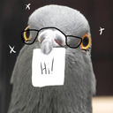 pigeon-nerd-arts avatar