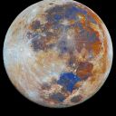 pigeon-reads-st avatar