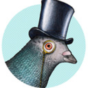 pigeonspigeons avatar