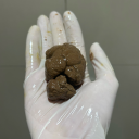 pigfarmerpoop avatar