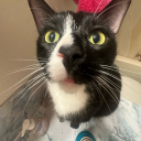 pinchofpretty05 avatar