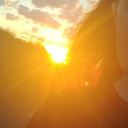 pinkflyingtiger avatar