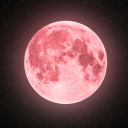 pinkmoondeity avatar