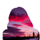 pinknpurplesunsets avatar