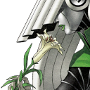 pioggia-latte avatar