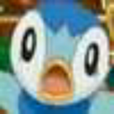 piplupandchimchar avatar