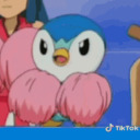 piplupforgot avatar