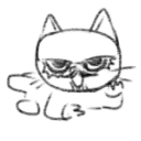 piplupthecursed avatar