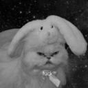 pissy-ramblings avatar