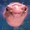 pissypuffypissers avatar