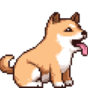 pixelshiba avatar