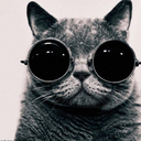 pizzacrustpls avatar