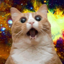 pizzarolls-wbu-blog avatar