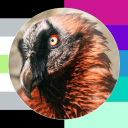 plague-vulture avatar