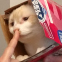 planetariumstickers avatar