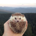 plant--kid-blog avatar