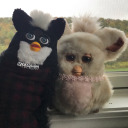 plants-and-furbies avatar