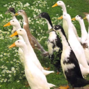 plantsandbones478 avatar