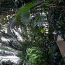 plantsinteriors avatar