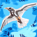 platinum-seagull avatar