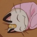 platycodon-platypus avatar