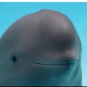 playyinwithfire avatar