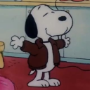 please-dont-find-me-rose avatar