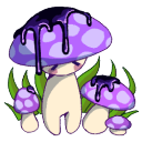 pluckyshroom avatar