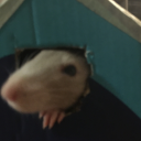 plumsaucemadein2005 avatar