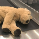 plush-organisator avatar