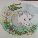 plutoniumpossum avatar