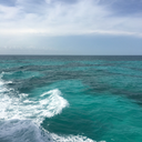 pocketfullofstories avatar